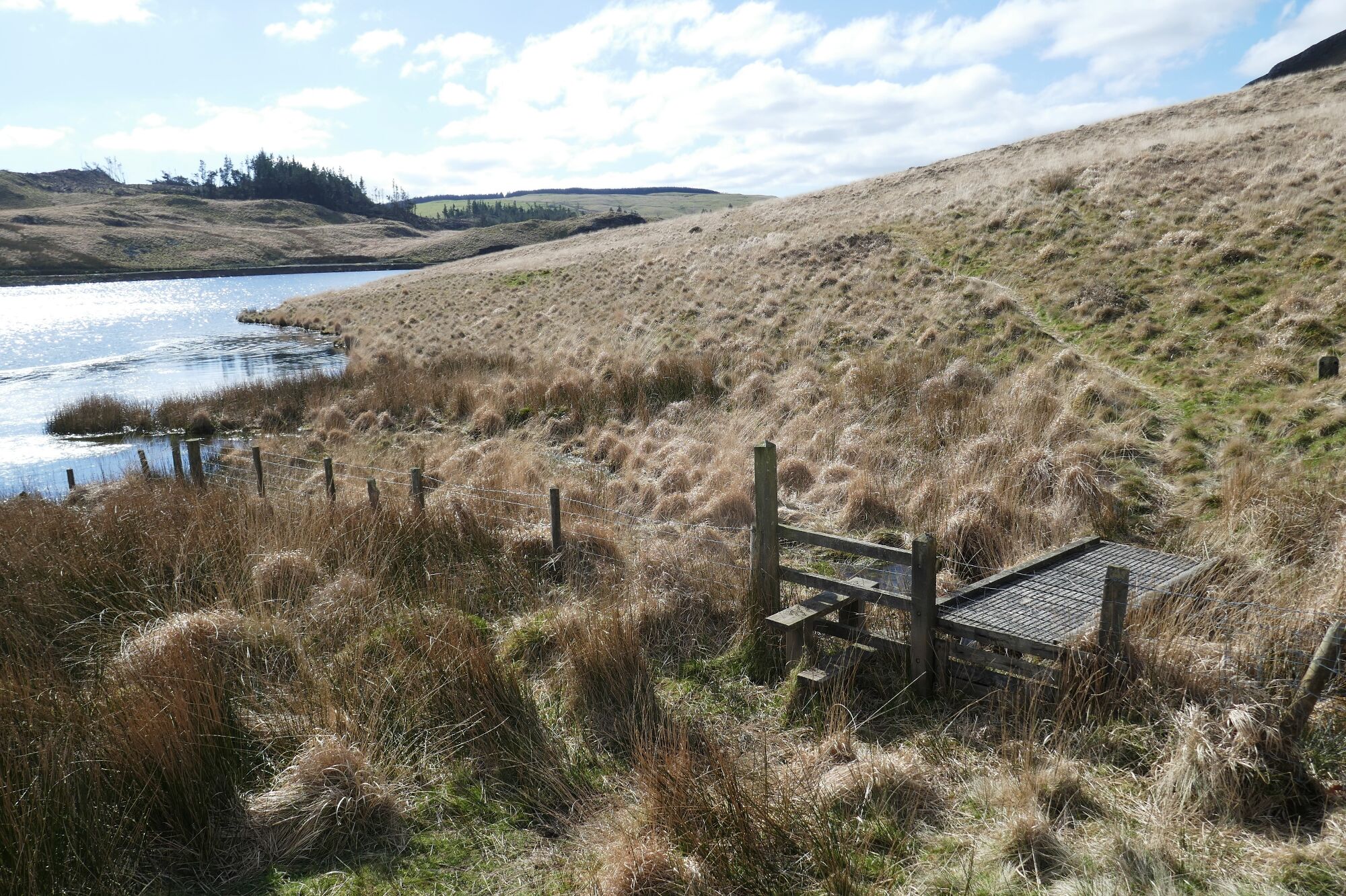 RachelSeabrook.net | Wild Walking | Cwm Cyneiniog and Craig y Pistyll | pic26
